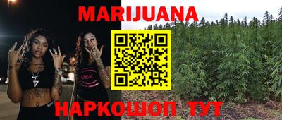 сатива Коммунар
