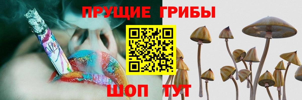 Камень-на-Оби  Псилоцибиновые грибы мухоморы  Вход с VPN 